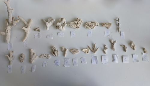 Фото Алтайской таможни